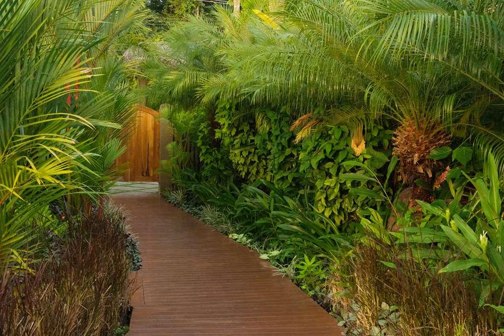 Casa Chameleon Hotel Mal Pais - Adults Only Playa Santa Teresa  Удобства фото