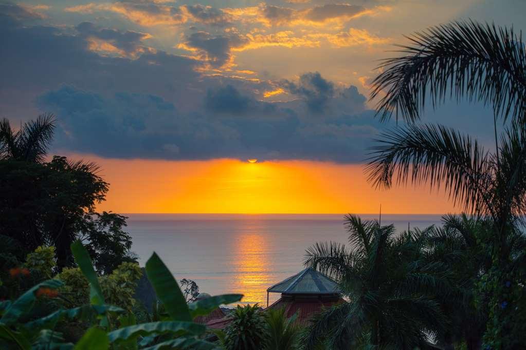 Casa Chameleon Hotel Mal Pais - Adults Only Playa Santa Teresa  Удобства фото
